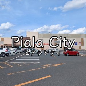 【ピアラシティ】66の専門店とショッピングモール・大型店の歩き方｜Google Pixelで「三郷の暮らし」をデザインする